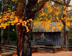 英雄联盟全球总决赛冠亚军决赛四川打响