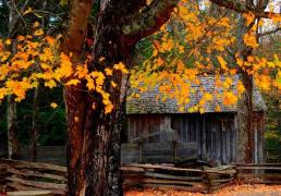 英雄联盟全球总决赛冠亚军决赛四川打响