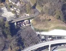 日本一动物园发生狼逃脱事件，已暂停游客入园