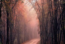 TA：威尔希尔已无望以教练身份回归阿森纳青(qīng)训营