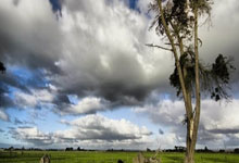 “超级皖”美食争霸赛六安市选拔赛将开赛