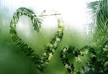 中国品牌首次组建“全球化冬奥战队”，TCL之队全球化冬奥战队阵容揭晓