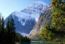 中国品牌首次组建“全球化冬奥战队”，TCL之队全球化冬奥战队阵容揭晓