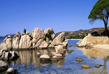 迅捷兴珠海厂最新动态