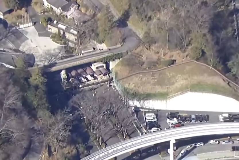 日本一动物园发生狼逃脱事件，已暂停游客入园